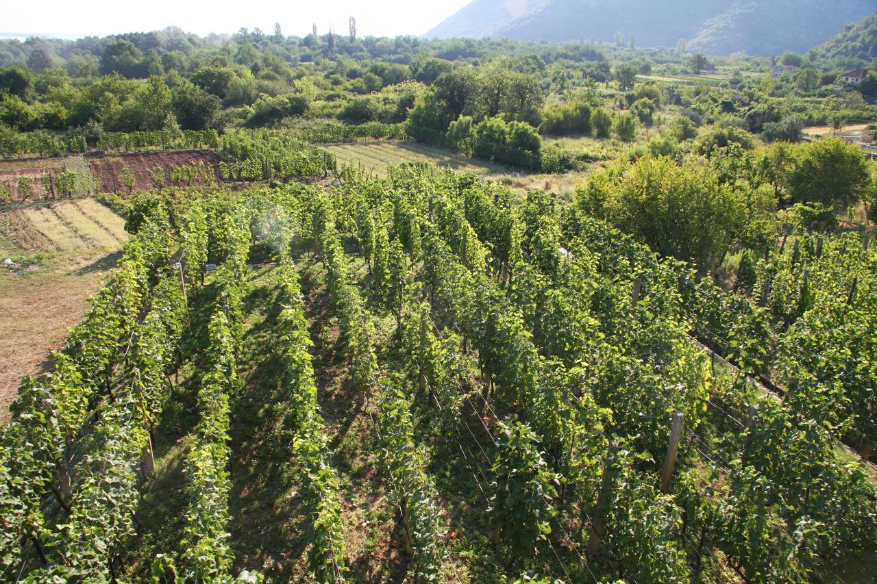 Vrzina Farm House Skadar Lake Virpazar Extérieur photo