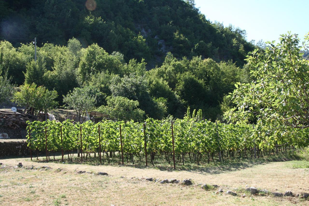 Vrzina Farm House Skadar Lake Virpazar Extérieur photo