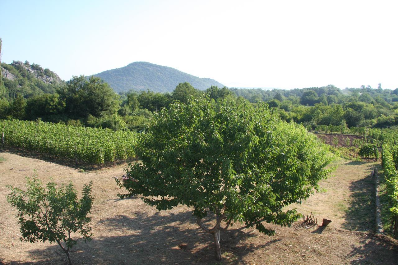 Vrzina Farm House Skadar Lake Virpazar Extérieur photo
