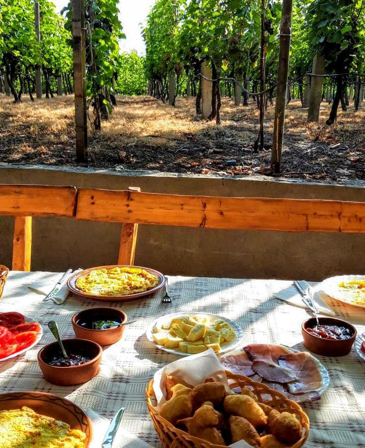 Vrzina Farm House Skadar Lake Virpazar Extérieur photo